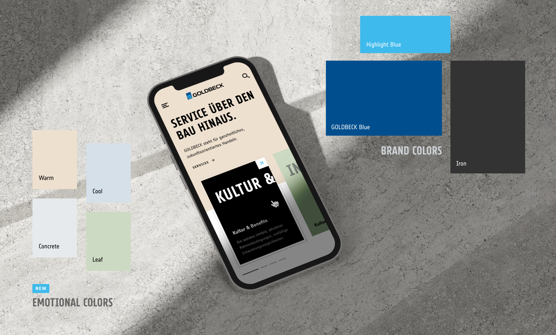 &why: Goldbeck Case Website Colors