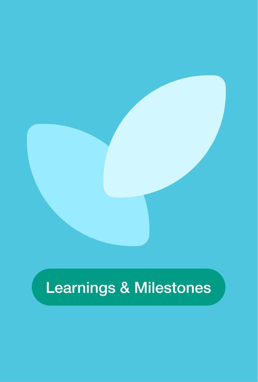 &why: The Journey of Doing Case Learnings and Milestones