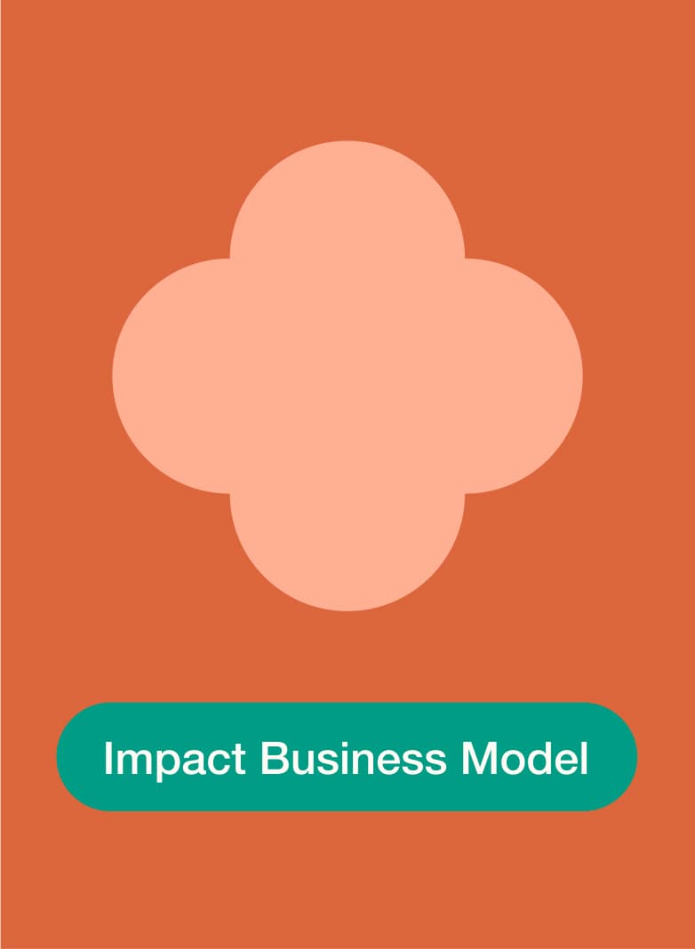 &why: B-Lab The Journey of Doing Case Impact Business Model
